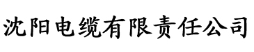 久久亚洲国产成人精品无码一区电缆厂logo